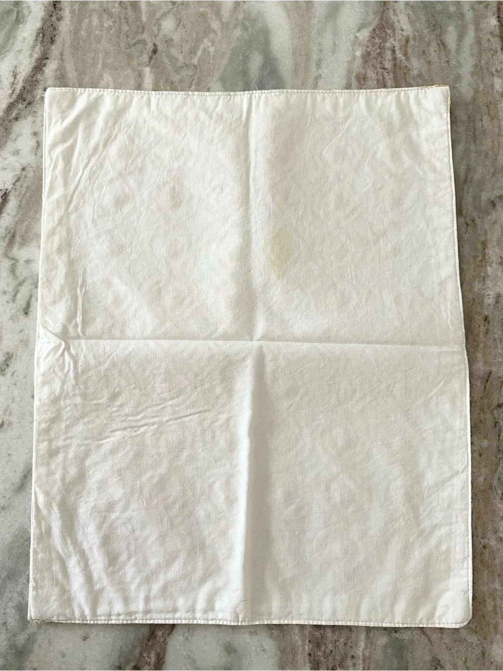 Set of 4 Floral Cloth Embroidered Placemats in Yellow & White